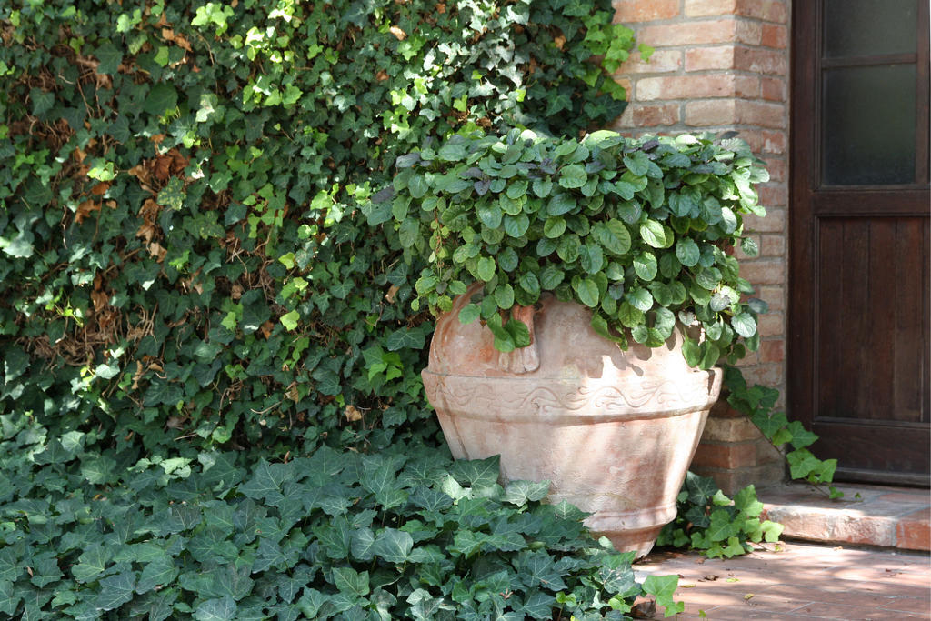 Maison d'hôtes Romitorio Di Castiglione Del Lago Extérieur photo