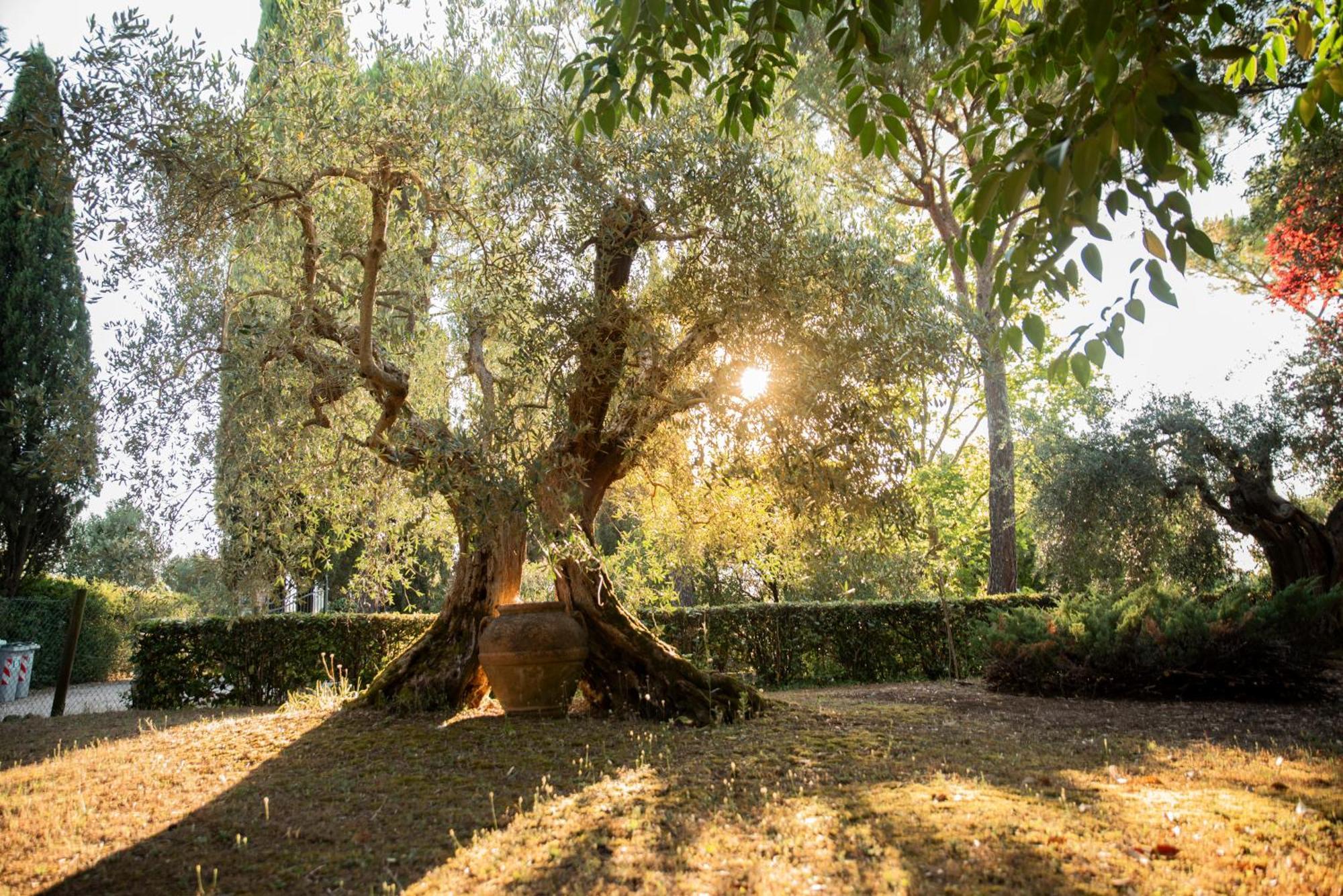 Maison d'hôtes Romitorio Di Castiglione Del Lago Extérieur photo