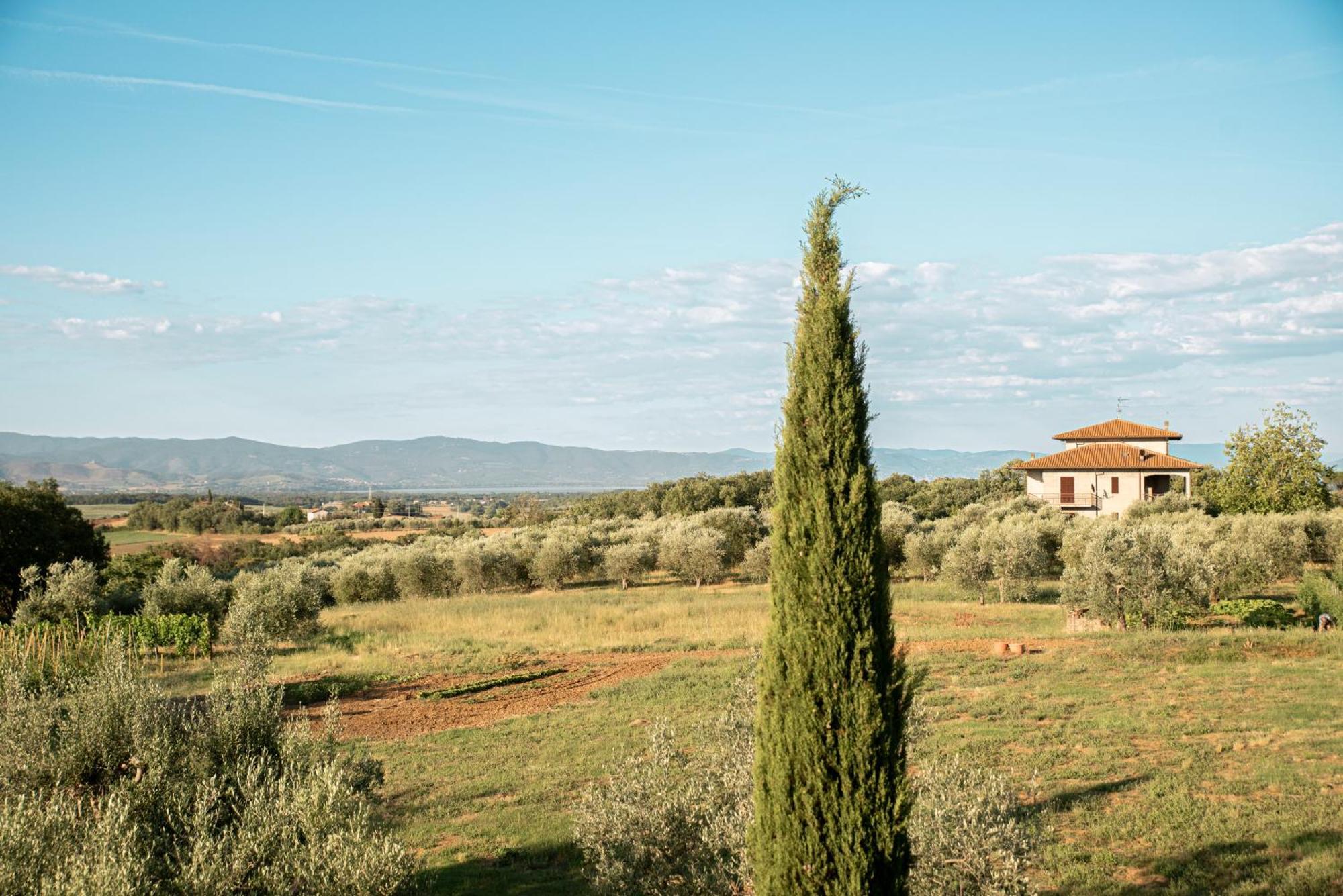 Maison d'hôtes Romitorio Di Castiglione Del Lago Extérieur photo