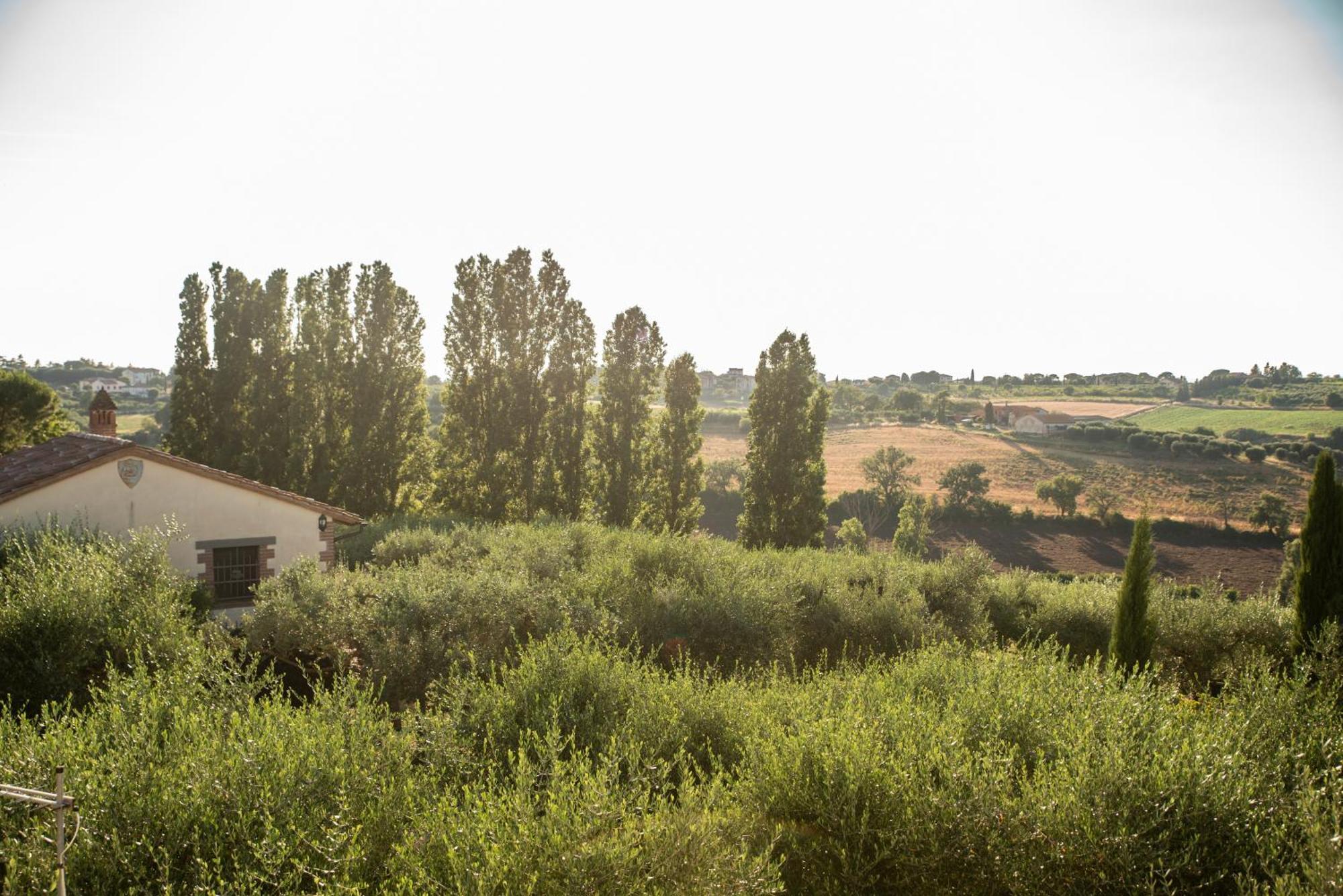 Maison d'hôtes Romitorio Di Castiglione Del Lago Extérieur photo