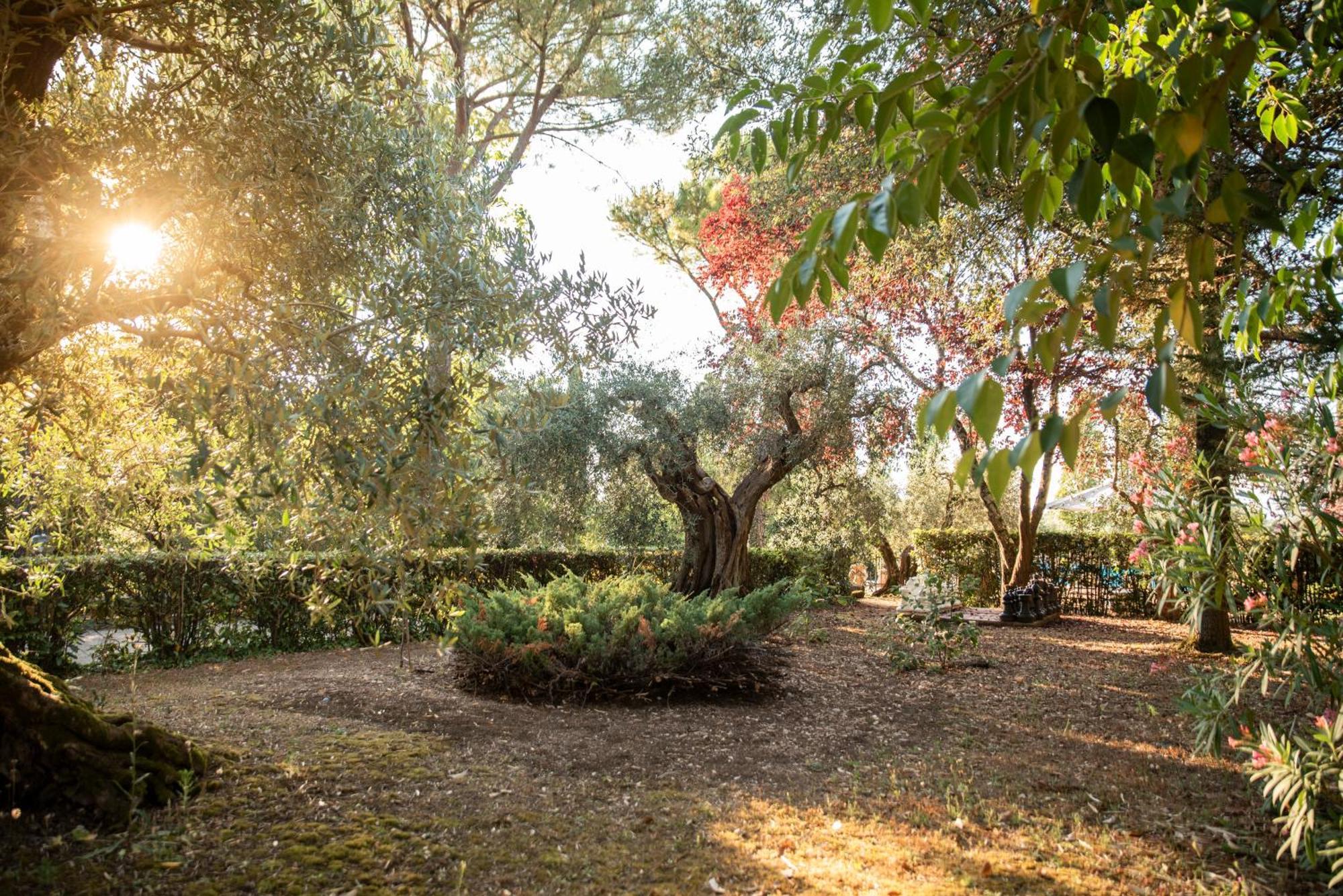 Maison d'hôtes Romitorio Di Castiglione Del Lago Extérieur photo