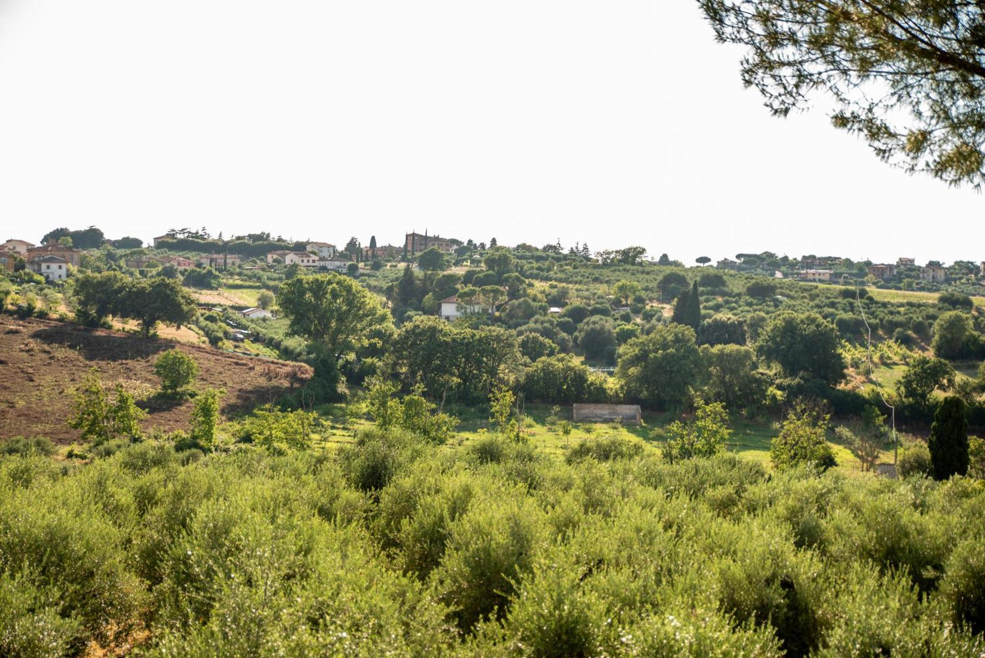 Maison d'hôtes Romitorio Di Castiglione Del Lago Extérieur photo