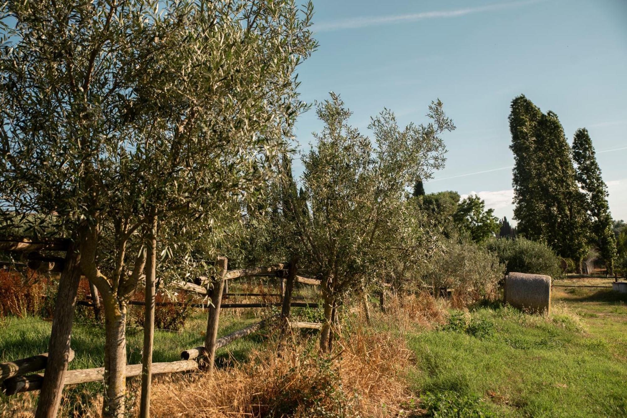 Maison d'hôtes Romitorio Di Castiglione Del Lago Extérieur photo