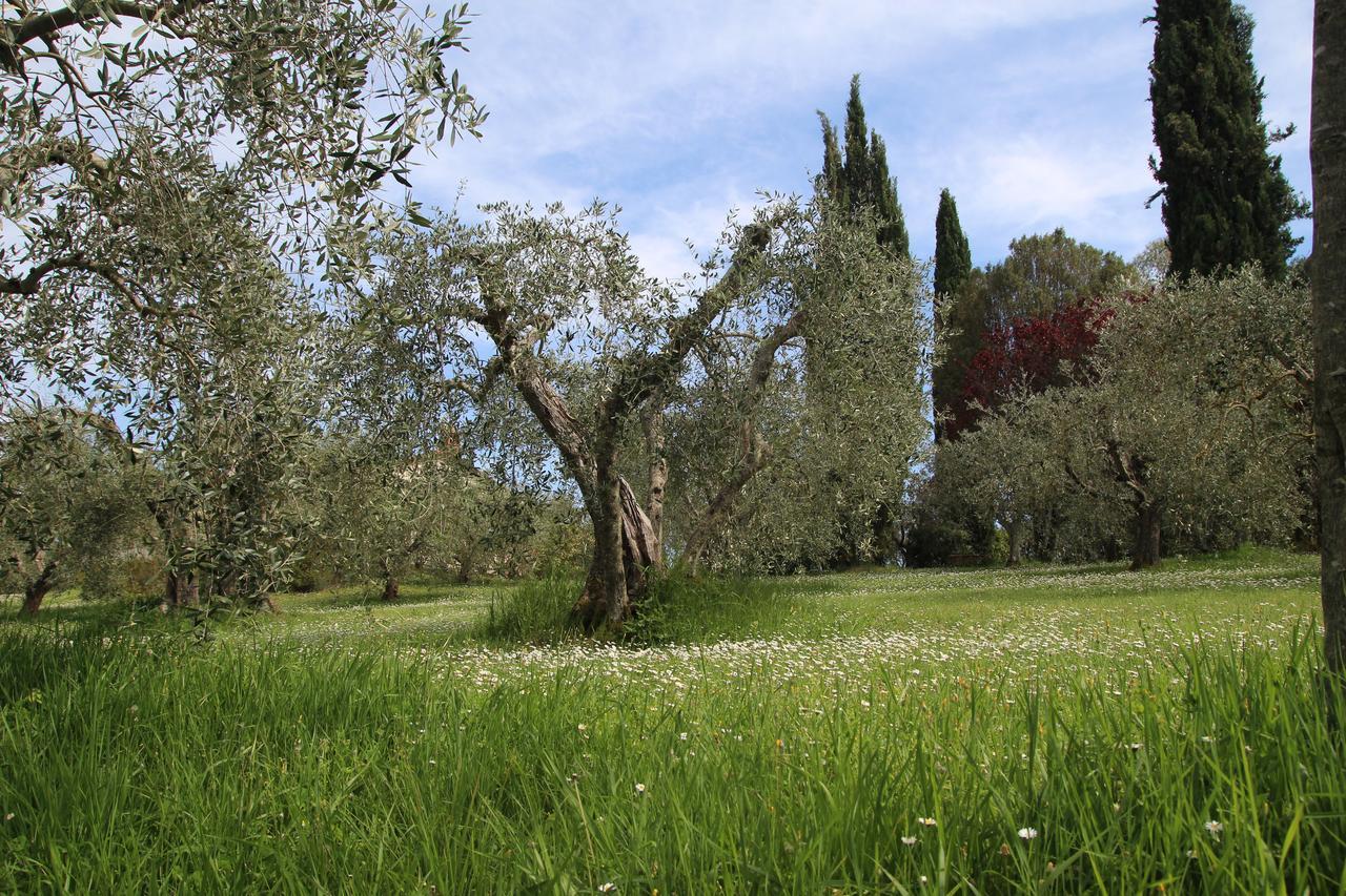 Maison d'hôtes Romitorio Di Castiglione Del Lago Extérieur photo