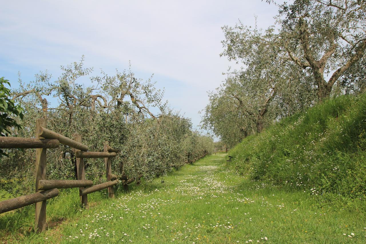 Maison d'hôtes Romitorio Di Castiglione Del Lago Extérieur photo